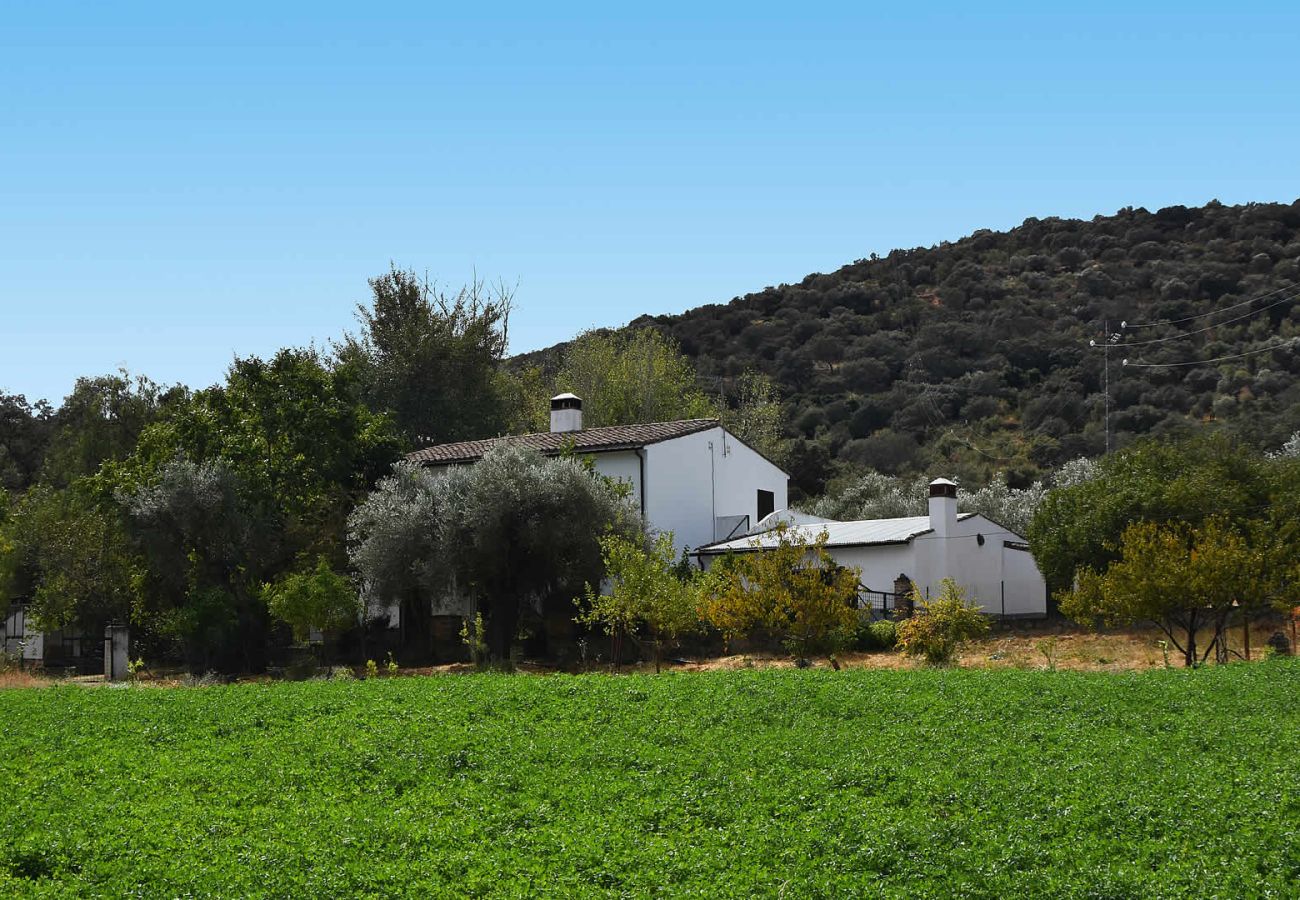 Cottage in Aroche - Aracena 005