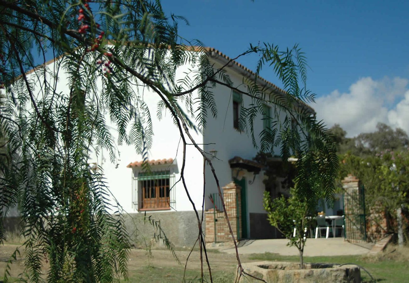 Cottage in Aroche - Aracena 005