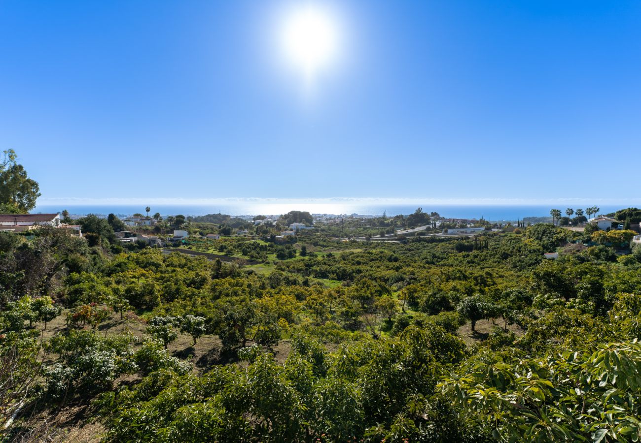 Villa in Nerja - Nerja 053