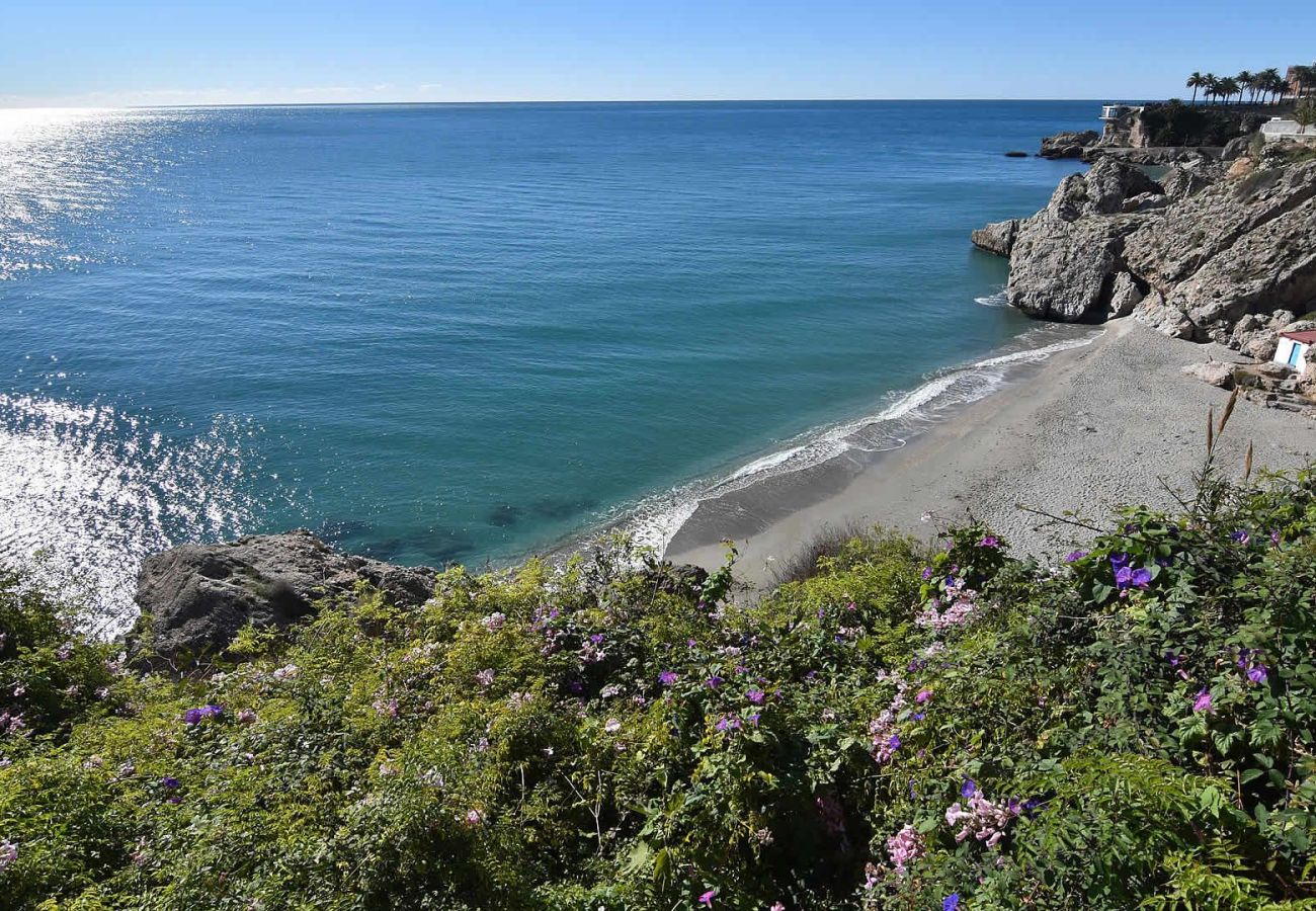 Villa in Nerja - Nerja 058