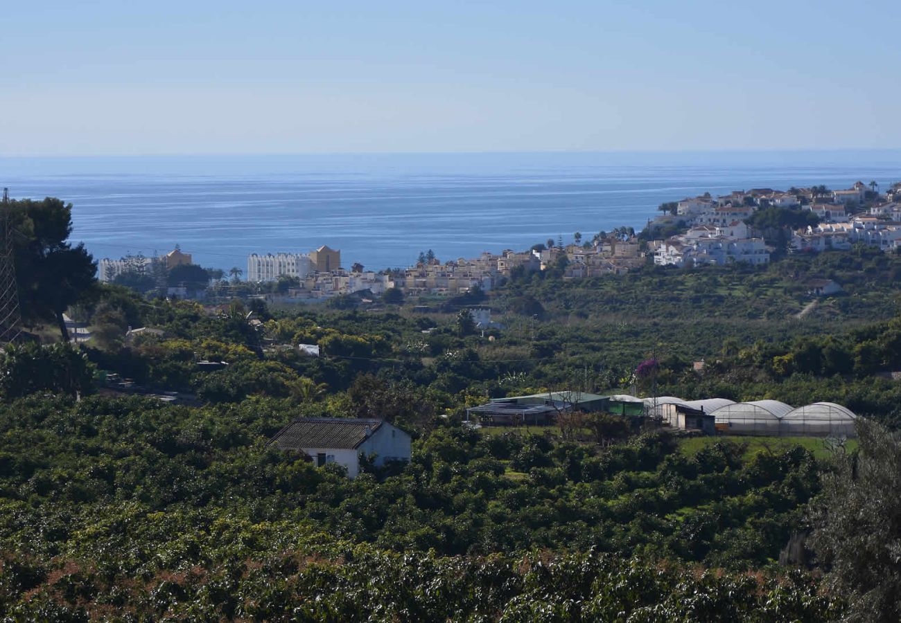 Villa in Nerja - Nerja 002