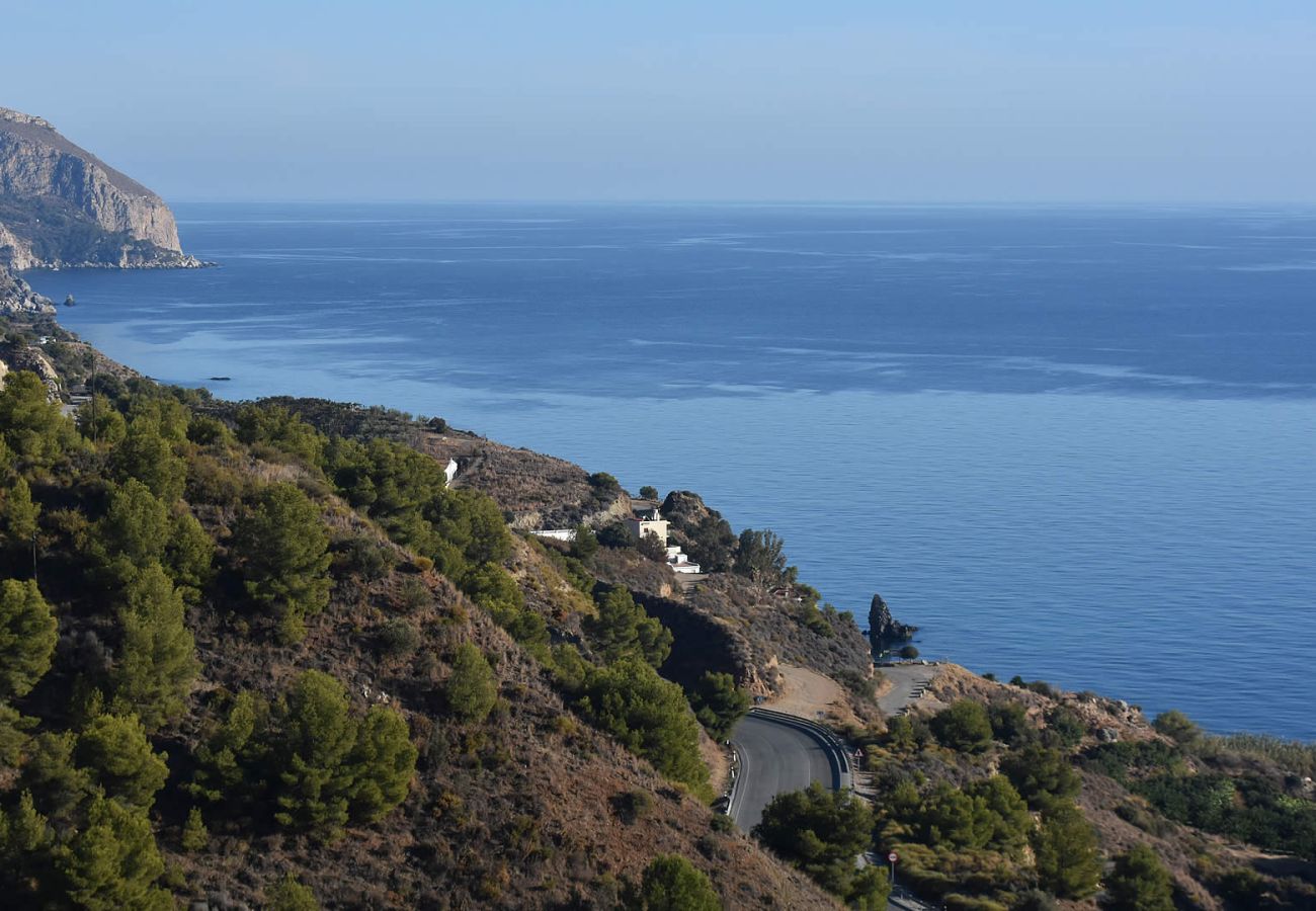 Villa in Nerja - Maro 002