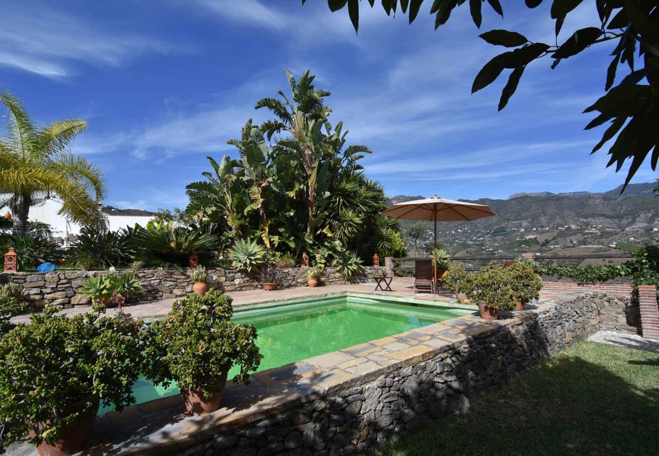 Villa in Frigiliana - Frigiliana 007