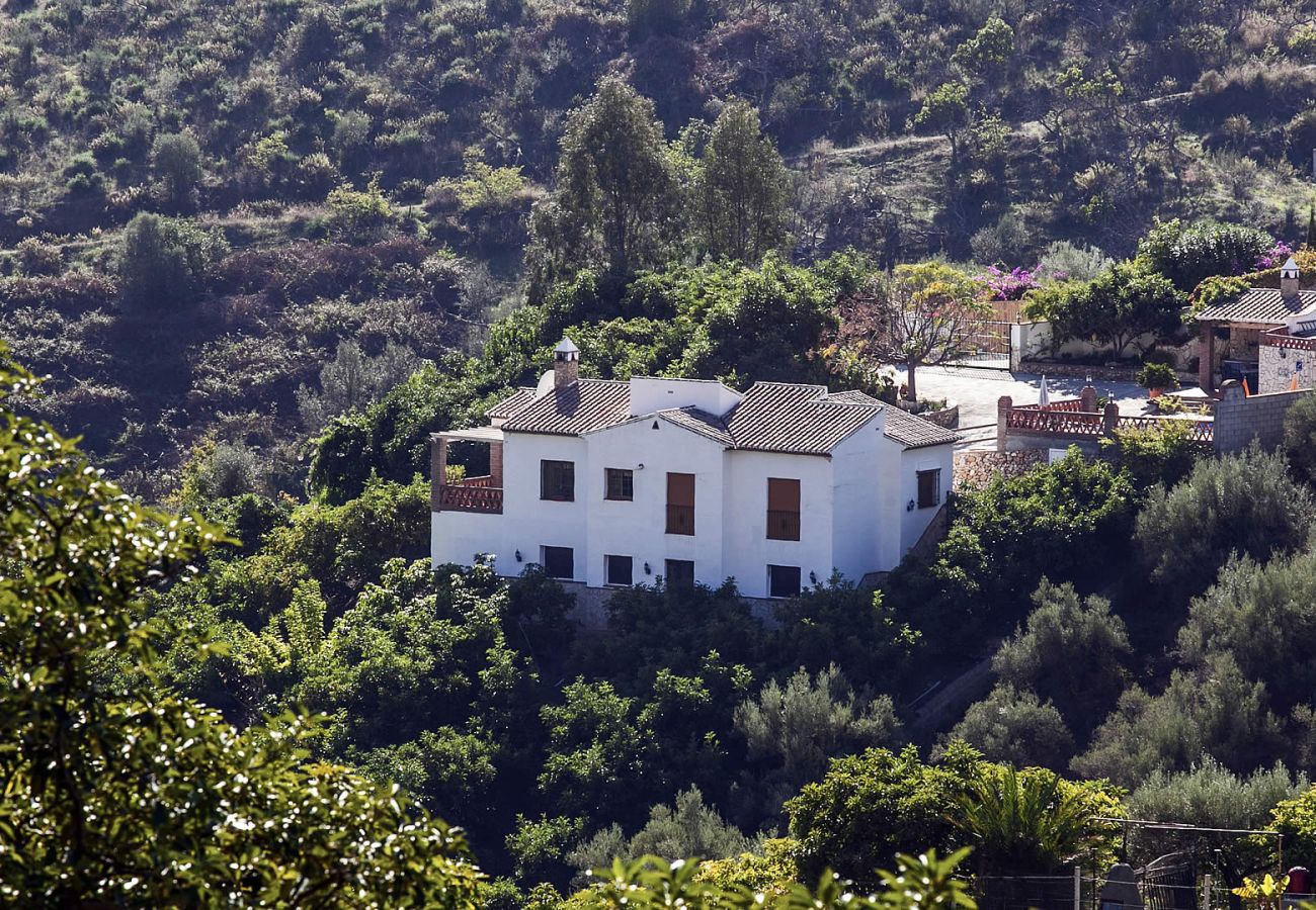 Villa in Frigiliana - Frigiliana 011