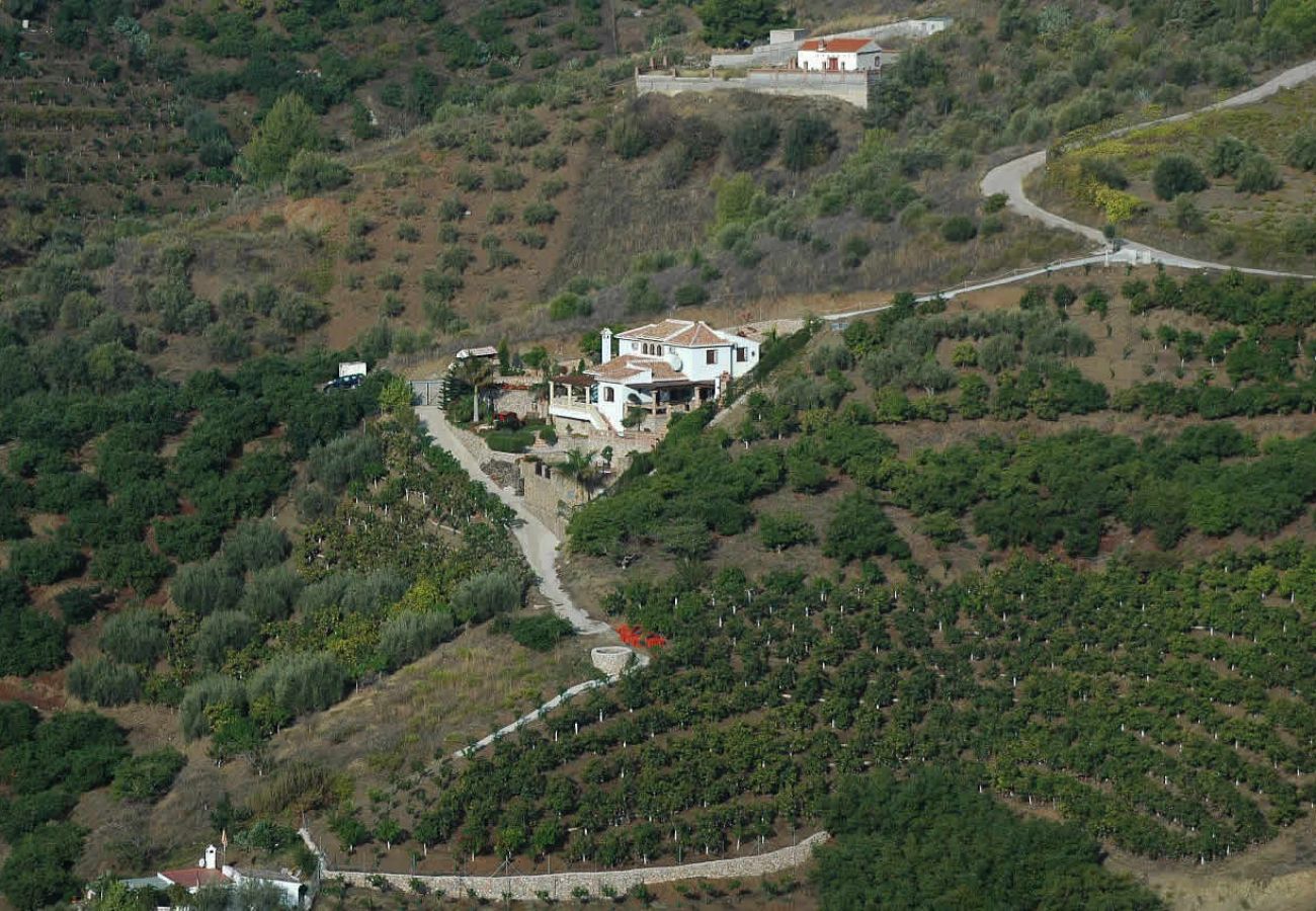 Villa in Frigiliana - Frigiliana 012