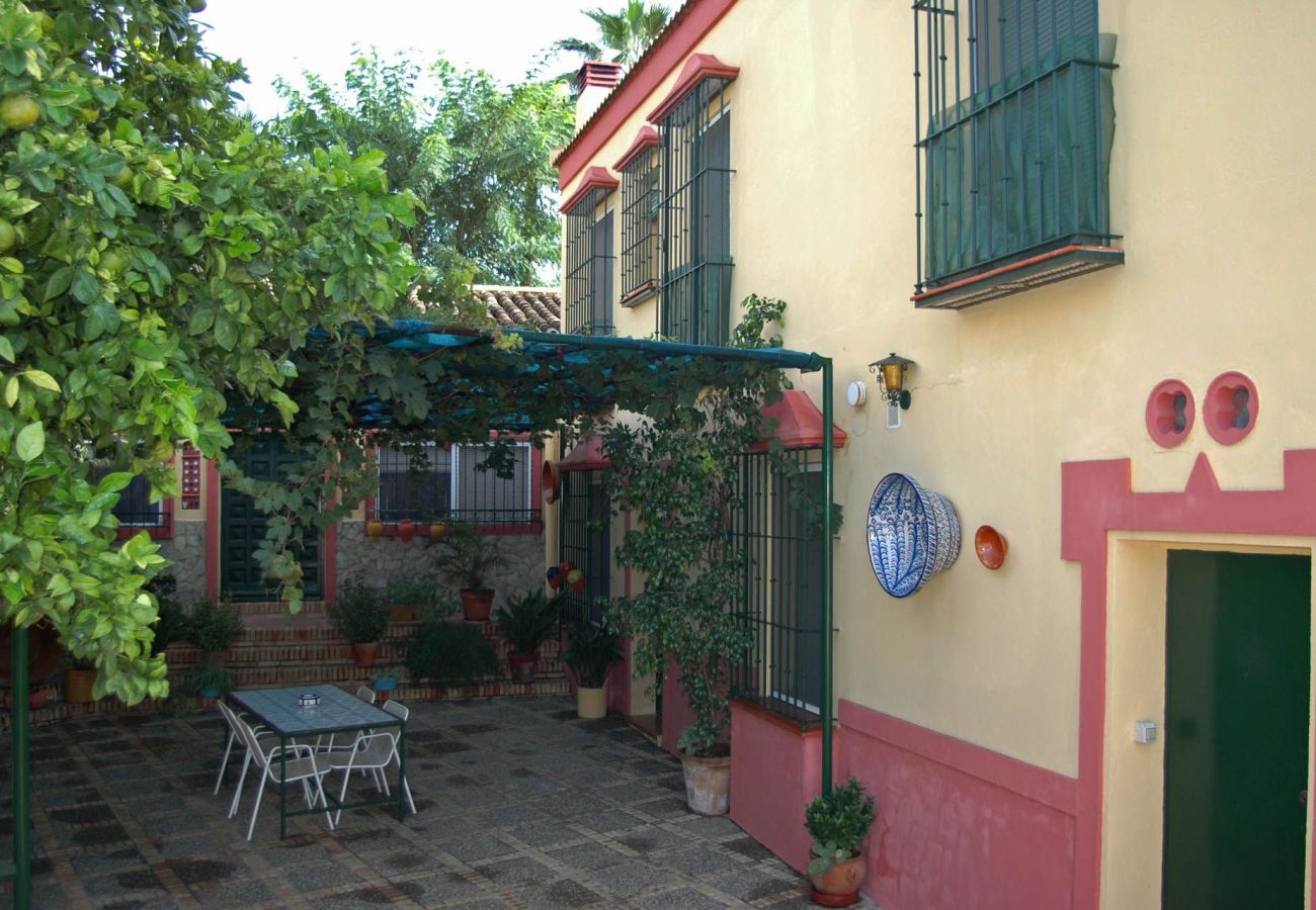 House in Aznalcázar - Sevilla 001