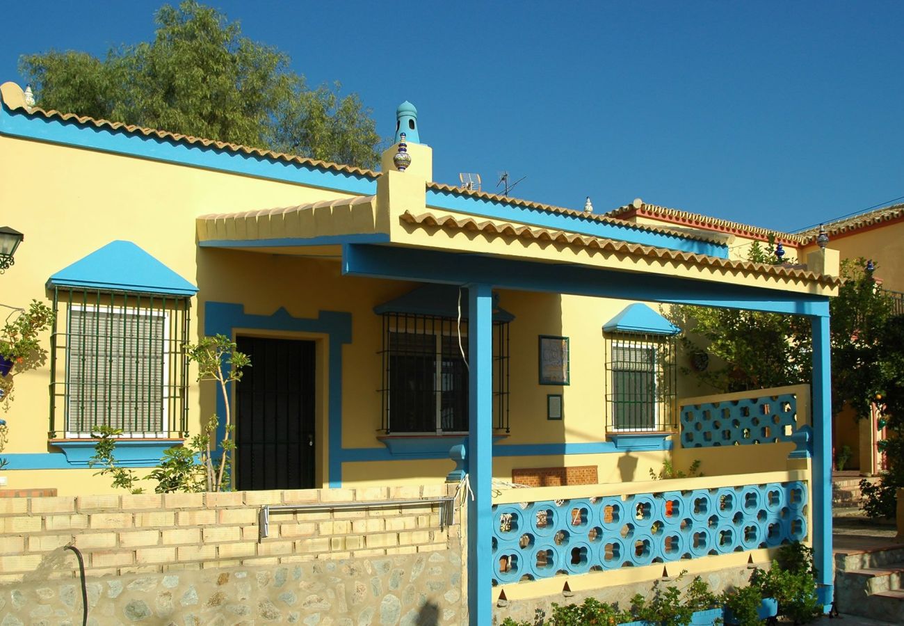 House in Aznalcázar - Sevilla 002