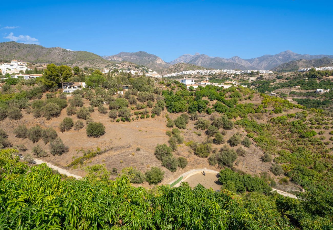 Villa in Frigiliana - Frigiliana 023